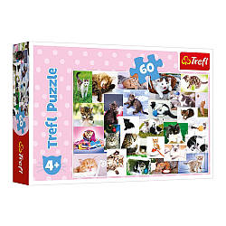 Пазли - (60 елм.) - "Світ котів"