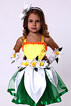 Карнавальний костюм для дівчаток