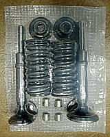 Ремкомплект головки цилиндра Т-40,Т-25,Т-16 (Д-144,Д-21)
