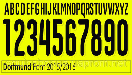 Нанесення номера і прізвища Borussia Dortmund 15\16, фото 2