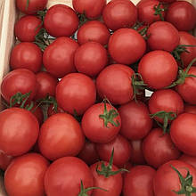 Топкапі F1 1000 шт насіння томату низькорослого Vilmorin Франція
