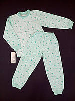Пижама детская из байки (футболка с длинным рукавом + штаны) Gabbi Цветочки 110см салатовая 1402