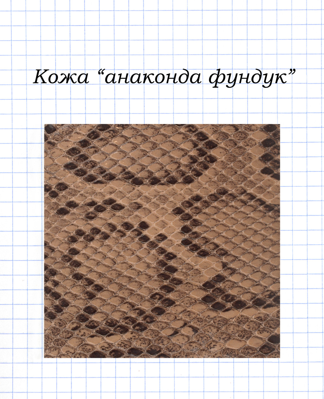 Шкіра "Анаконда фундук", фото 1