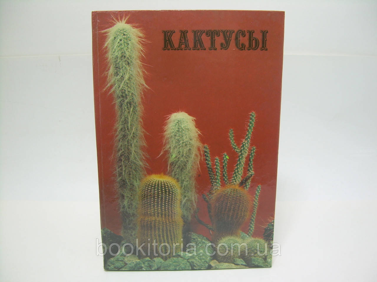 Широволока Д.Н., Королева М.Р., Холодняк О.Н. Кактуси (б/у)., фото 1
