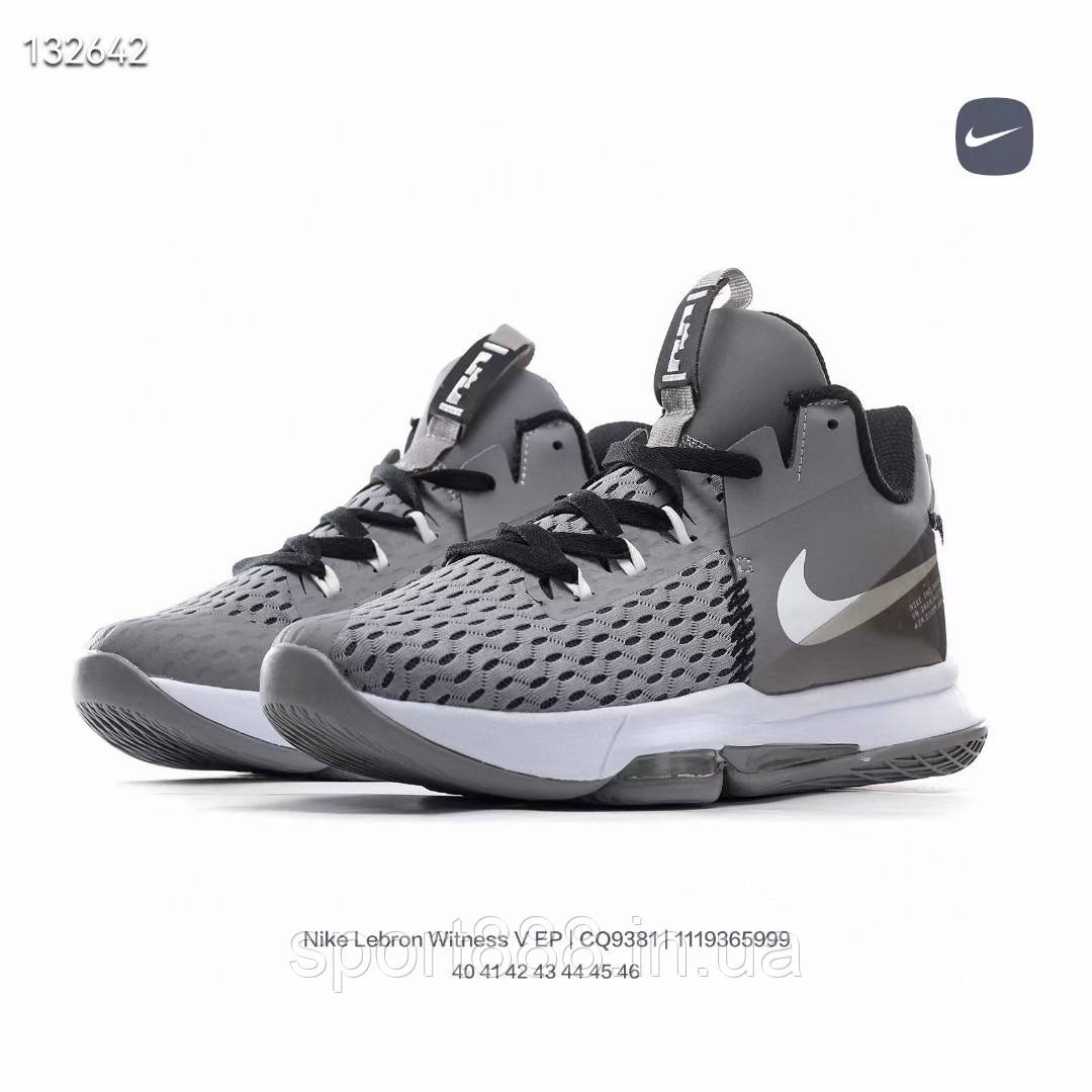 Nike LeBron Witness V Леброн Вітнес 5 сірі чоловічі баскетбольні кросівки
