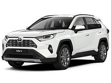 RAV 4 (2018-2020)