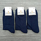 Шкарпетки чоловічі з махровим слідом, бічній малюнок GRAND 29р сині 30033302, фото 2