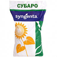 Субаро HTS Сингента (Гранстар) семена подсолнечника Syngenta