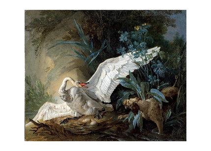 Листівка Water Spaniel Surprising a Swan, фото 1