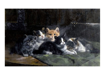 Листівка Cats, фото 1