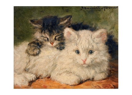 Листівка Cats, фото 1