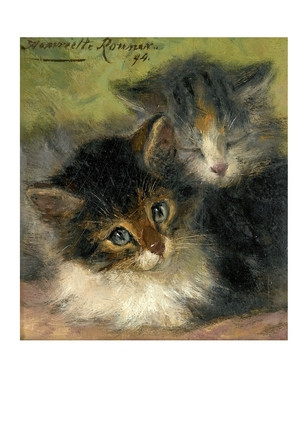 Листівка Cats, фото 1