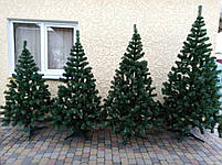 Ялинка новорічна Карпатська 75 см Штучні ялинки та сосни 0,75 м, фото 6
