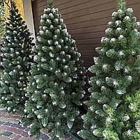 Новорічна ялинка Снігова Королева 2,2 м з білими кінчиками, штучні пвх ялинки та сосни, фото 3