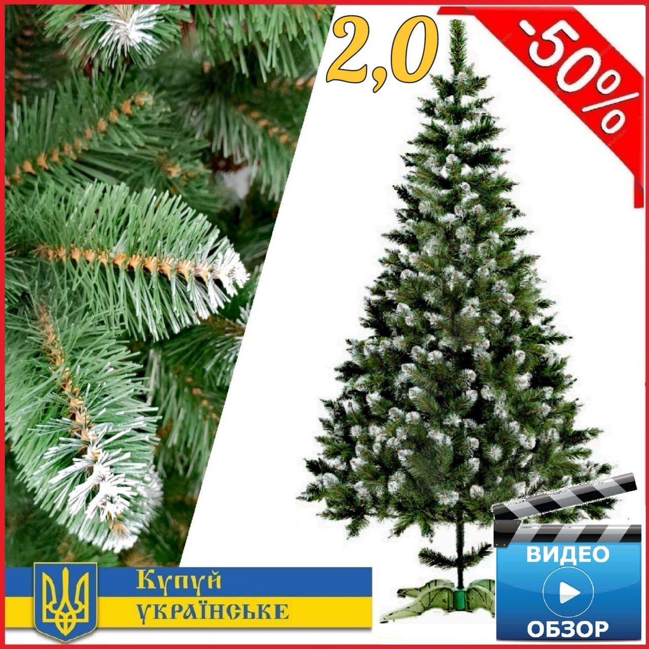 Новорічна ялинка Снігова Королева 2,0 м з білими кінчиками, штучні пвх ялини та сосни