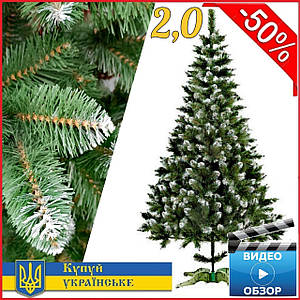 Новорічна ялинка Снігова Королева 2,0 м з білими кінчиками, штучні пвх ялини та сосни