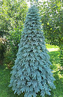 Ялинка Пишна лита Швейцарська 2,5м блакитна Штучні ялинки та сосни новорічні ялинки 250 см, фото 2