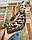 Дівчинка бенгал, (Червоний нашийник) ін. 06.07.2021. Бенгальські кошенята з вихованця Royal Cats. Україна, Київ, фото 2