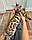 Хлопчик бенгал, (Блакитний нашийник) ін. 06.07.2021. Бенгальські кошенята з вихованця Royal Cats. Україна, Київ, фото 3