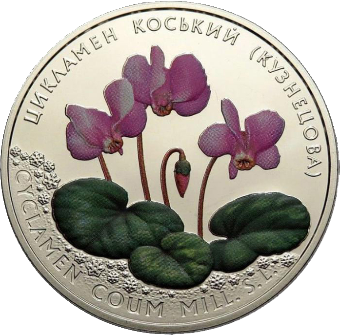 Монета НБУ "Цикламен коський (Кузнецова)"