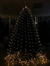 Сосна 155 см з інеєм, Forest УЦІНКА, фото 4