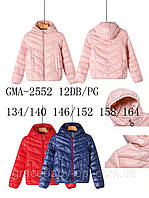 Куртка на девочек ТМ Glo-Story 134, 140/146, 152/158, 164 см