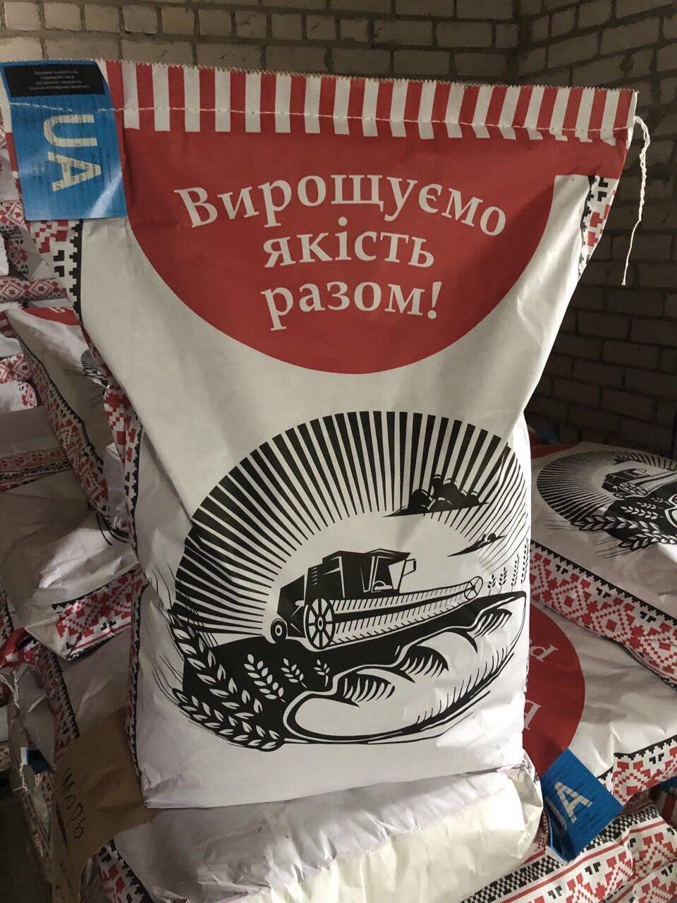 Насіння соняшника Фіністер Під Євро-Лайтінг