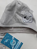 Бавовняна сіра шапочка для новонародженого Barbaras, розмір 40 — 42, фото 2