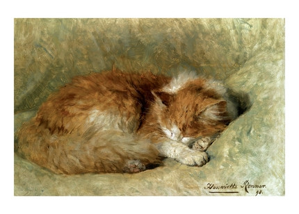 Листівка A Sleeping Cat, фото 1