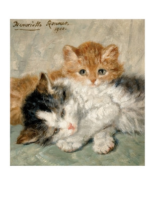 Листівка Sleepy Kittens, фото 1