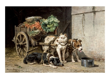 Листівка Dog Bassets