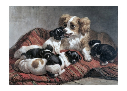 Листівка Mother Dog with Six Puppies, 1870, фото 1
