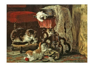 Листівка Evil Cat