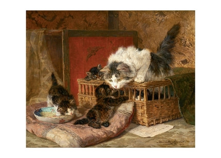 Открытка Mother Cat Plays with Her Four Kittens, 1903, фото 1