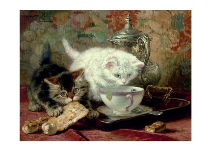 Листівка High Tea