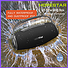 Портативна музична колонка Hopestar H51 BF, фото 9