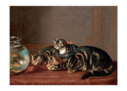 Листівка Cats and Golden Fishes, фото 1