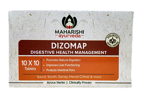 Дизомап - поліпшення травлення, Dizomap (100tab)
