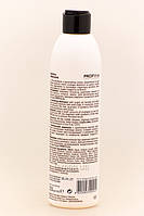 ProfiStyle Шампунь живильний з аргановою олією для сухого, ламкого та пошкодженого волосся, 250 мл, фото 2