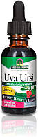 Nature's Answer, Uva Ursi Extract, Екстракт Уви Урсі, з низьким вмістом спирту, 1000 мг, 1 унція BX831, фото 4