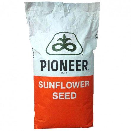 Піонер 106 2022р Класичне насіння соняшнику Pioneer П64ГГ106 (P64HH106)
