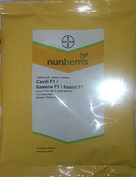 Кабачок Кавили F1 1000 с.