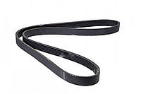 Ремінь генератора (без кондиціонера) Peugeot Partner II / Citroen Berlingo II 1.6BlueHDi 2008- 798K6 HUTCHINSON (Франція)