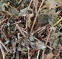 100 г плющ обыкновенный трава сушеная (Свежий урожай) лат. Hedéra hélix