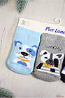 ОПТОМ Шкарпетки 3 пари махрові Dog для хлопчика (7/0-3 міс.)  Pier Lone 8681788472900, фото 3