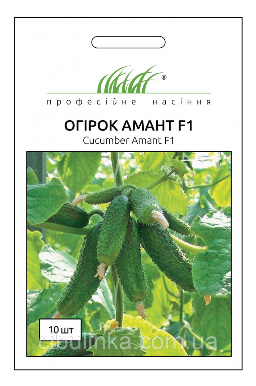 Огірок Амант F1 10 шт., фото 1