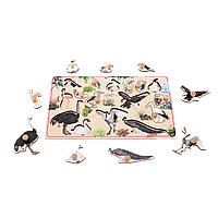 Дидактическая игра Рамка вкладыш Монтессори Птицы деревянный развивающий пазл 16 элементов Komarovtoys Т634