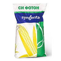 СІ Фотон Сингента (ФАО 260) насіння кукурудзи Syngenta