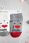ОПТОМ Шкарпетки 3 пари махрові "I love Mom" (14/1-2 роки) Pier Lone 8681788494889, фото 3