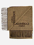 Чоловічий теплий шарф стильний з акрилу з бахромою Cambridge коричневого кольору, фото 2